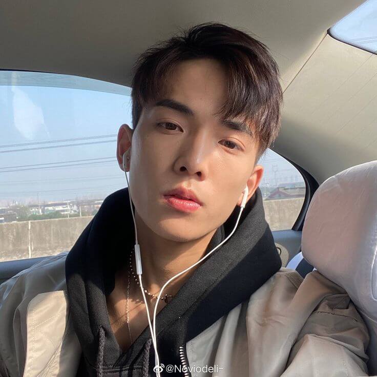 avatar thành viên team